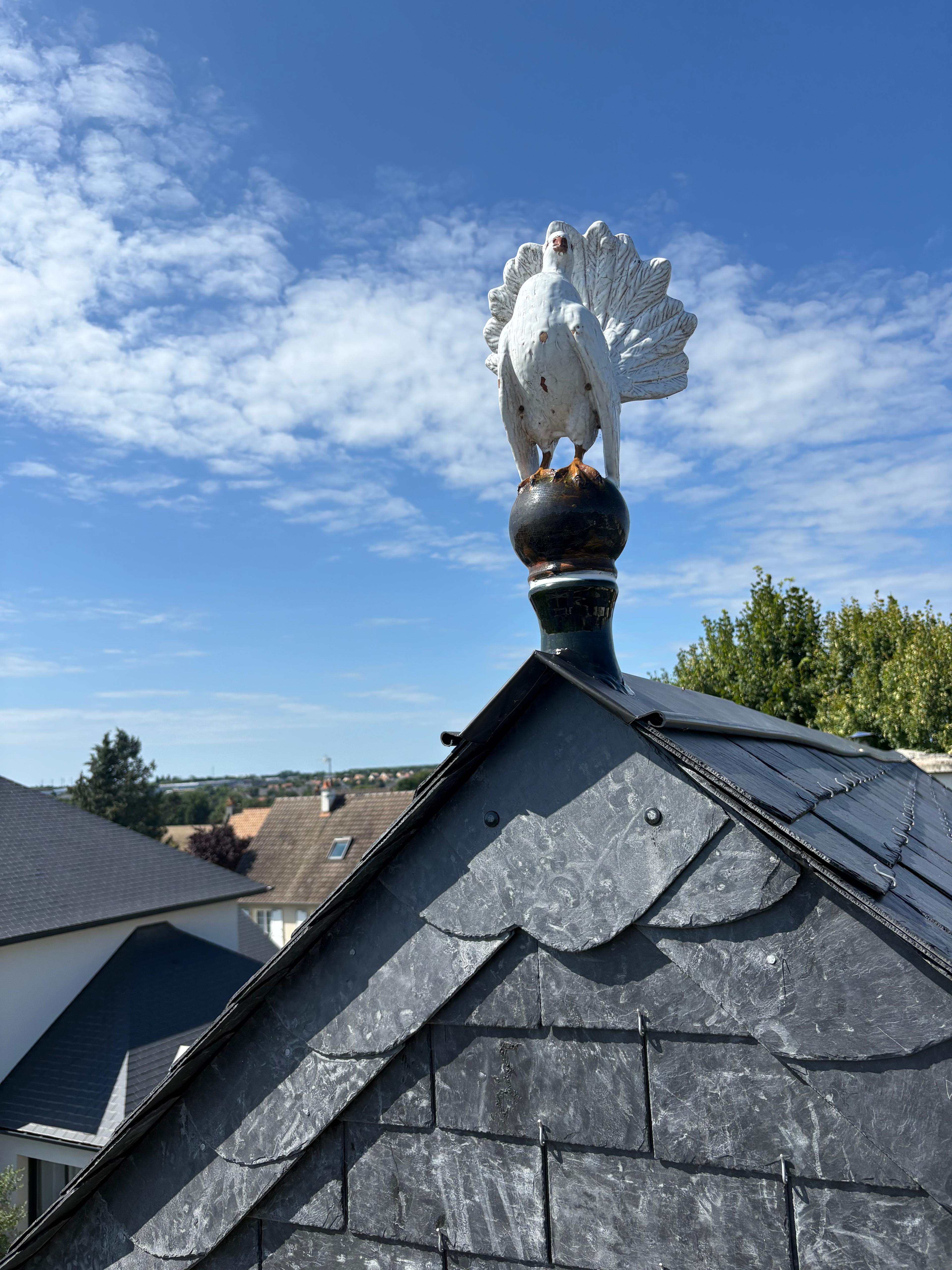 Évacuation des eaux pluviales